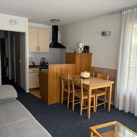A Gourette Pour 4 Pers, Wifi Gratuit, Animaux Acceptes - Fr-1-859-20 Apartment